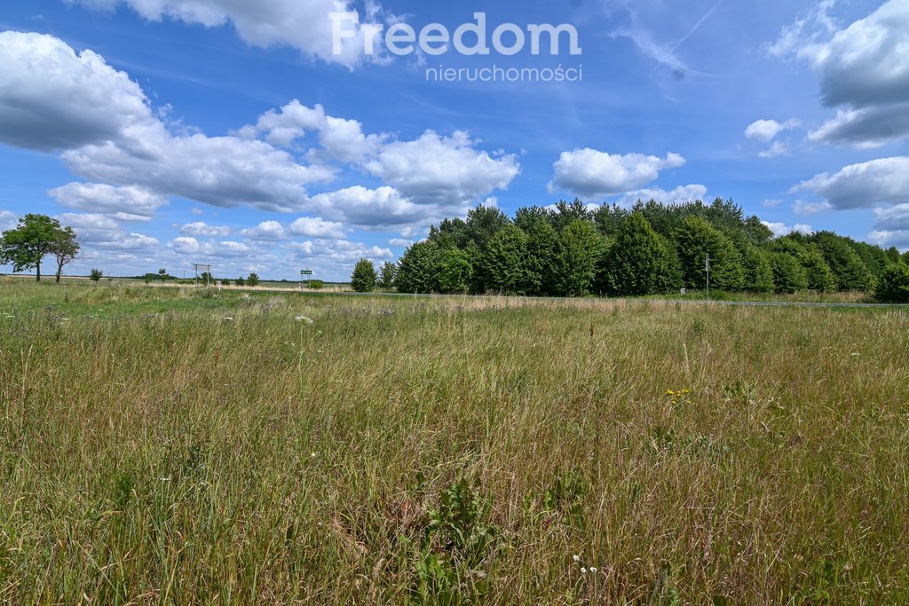 Działka rolna na sprzedaż Szwecja  4 800m2 Foto 6