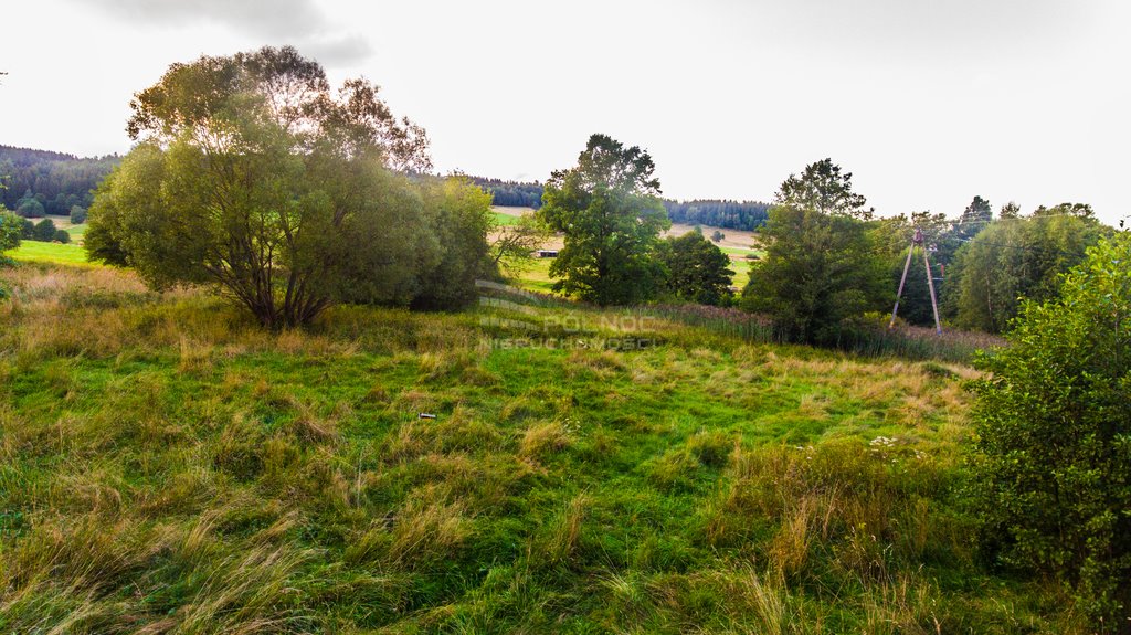 Działka budowlana na sprzedaż Strachocin  12 000m2 Foto 6