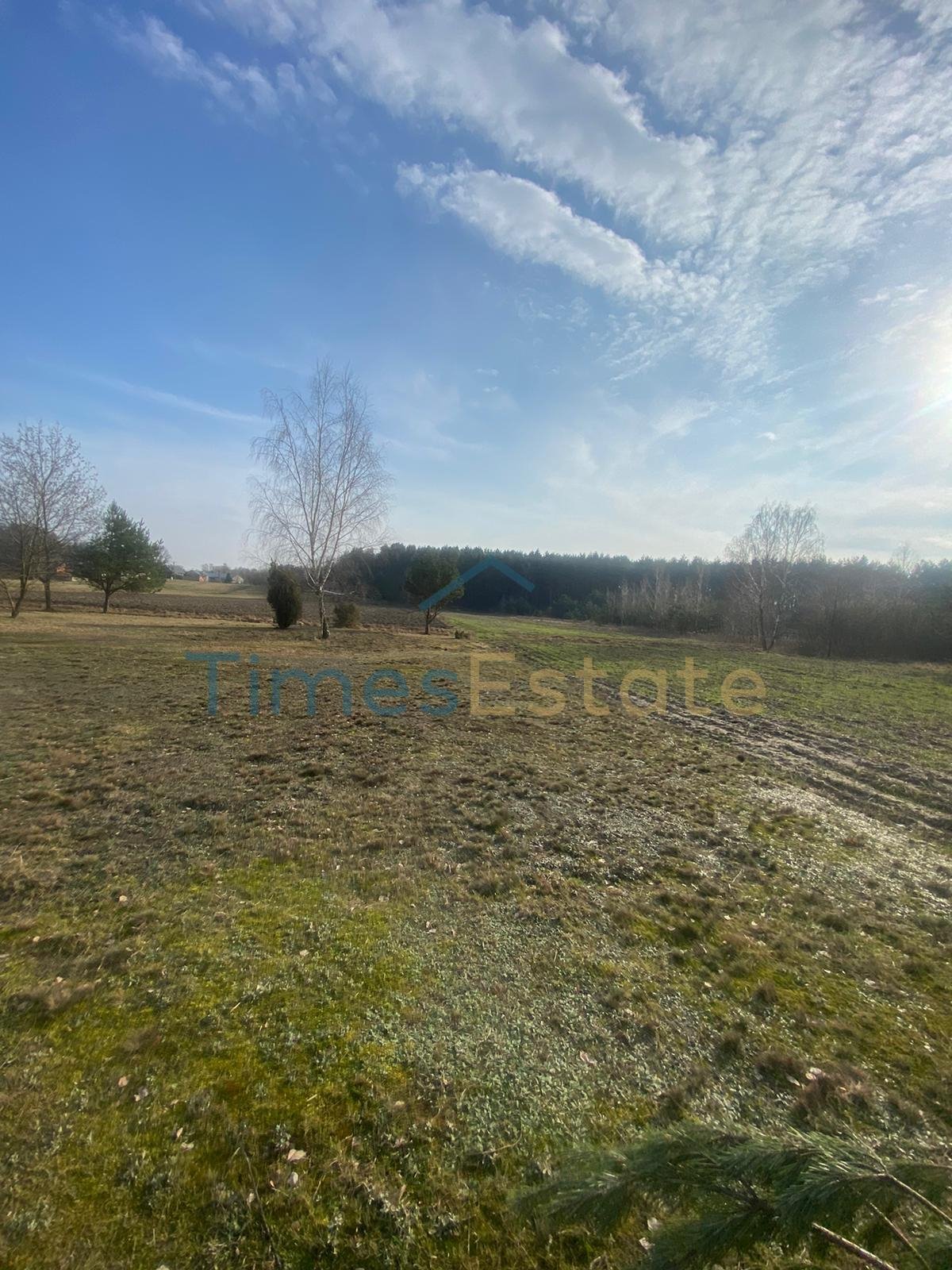 Działka budowlana na sprzedaż Ostrówek  5 700m2 Foto 4