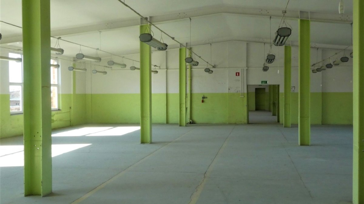 Lokal użytkowy na sprzedaż Środa Śląska, Ciechów  2 400m2 Foto 3