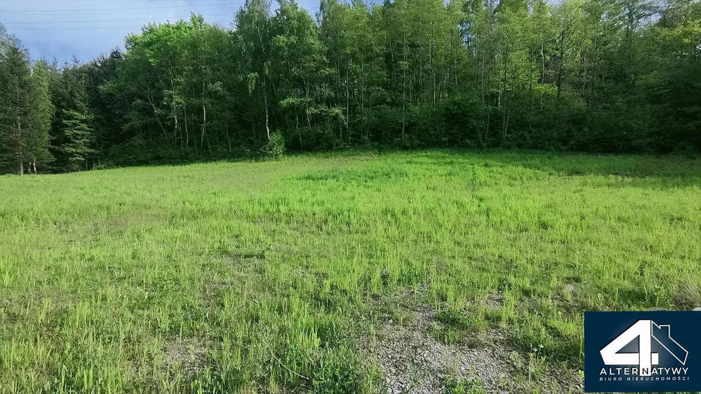 Widokowa działka 0,79 ha z lasem i możliwością zabudowy Szczepanowice  7 900m2 Foto 1