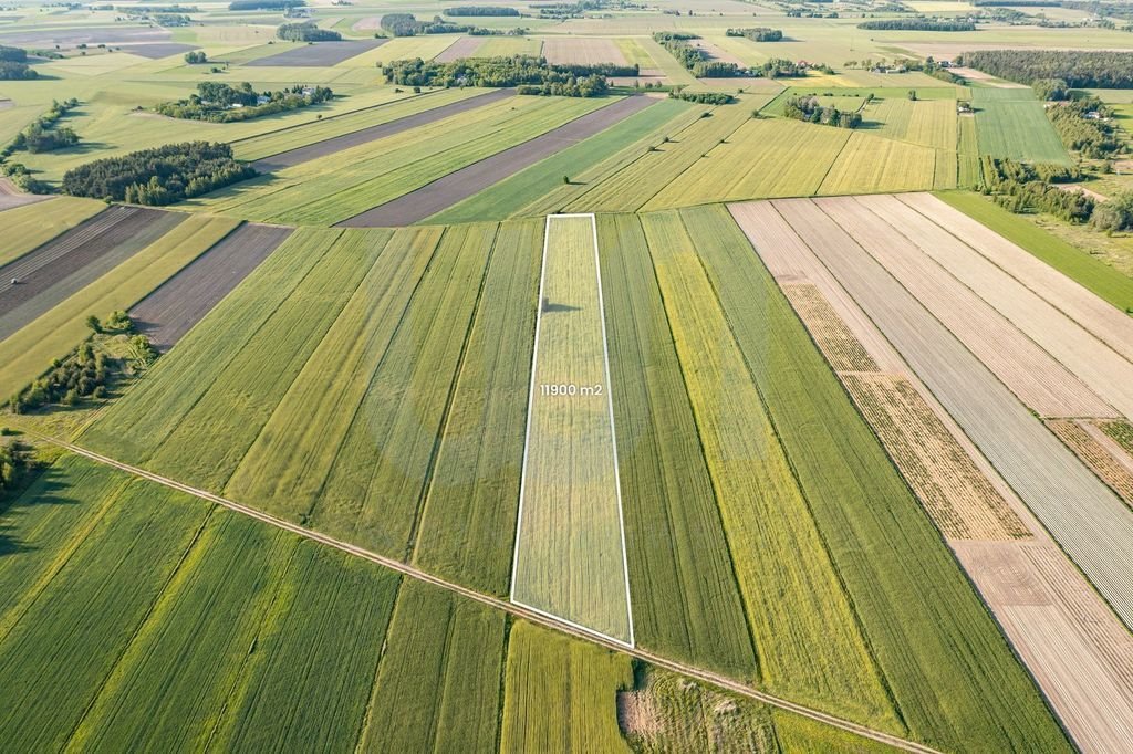 Działka rolna na sprzedaż Błogosławie  10 300m2 Foto 6