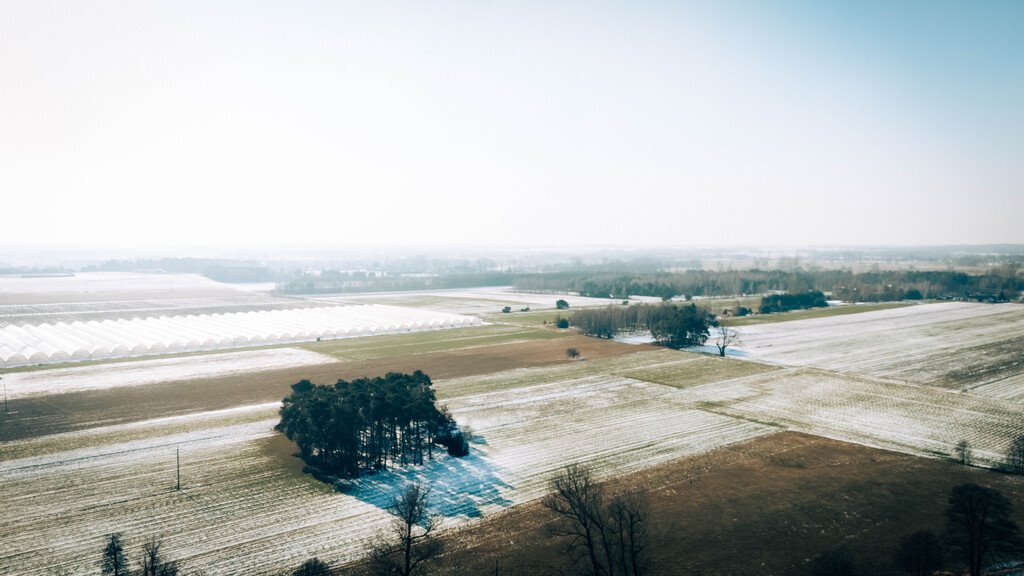 Działka budowlana na sprzedaż Bałdrzychów  1 380m2 Foto 10