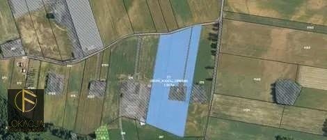 Działka inna na sprzedaż Ludwina  29 000m2 Foto 1