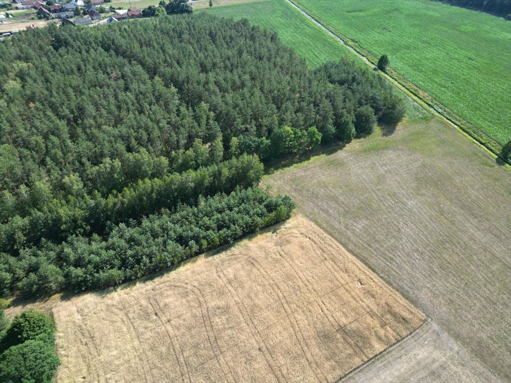 Działka budowlana na sprzedaż Jerominy  3 705m2 Foto 5