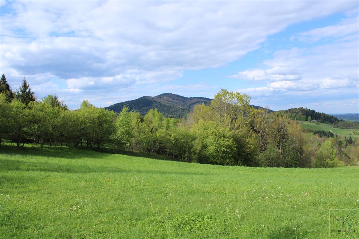 Działka budowlana na sprzedaż Wola Skrzydlańska  3 100m2 Foto 6