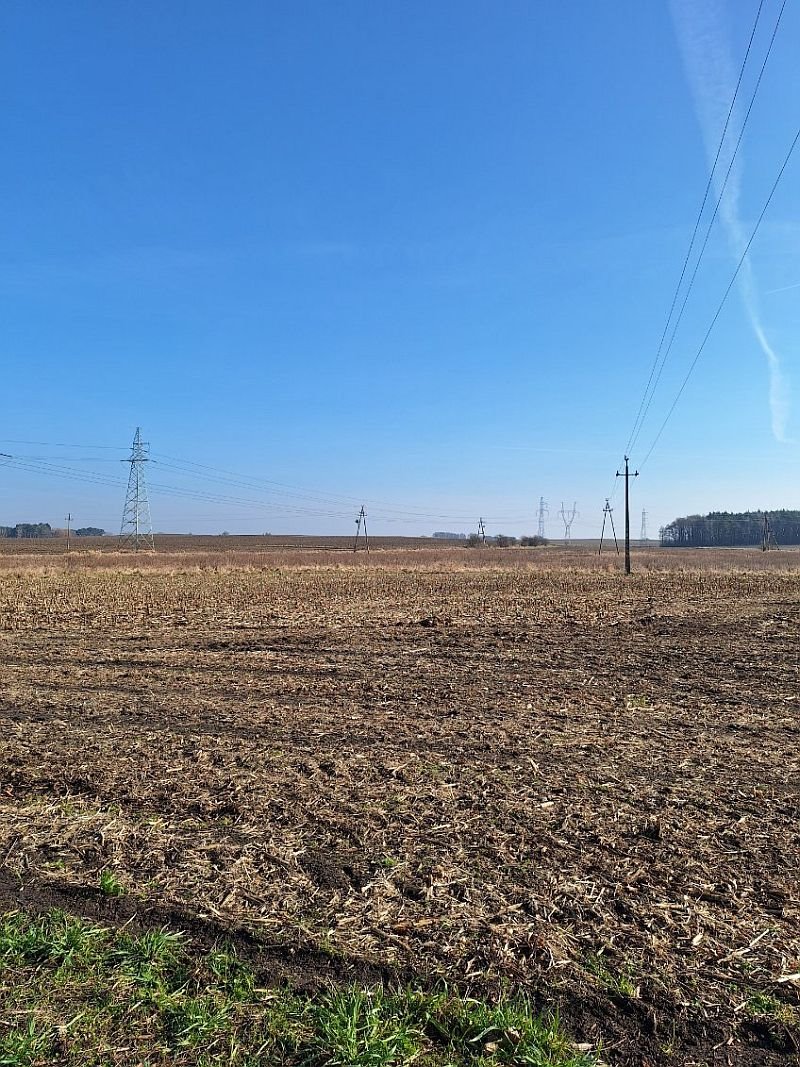 Działka budowlana na sprzedaż Pawłowice  2 831m2 Foto 5