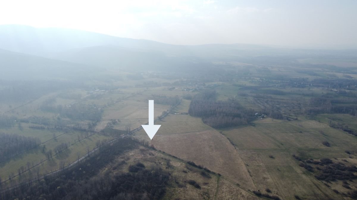 Działka budowlana na sprzedaż Krobica  10 002m2 Foto 5