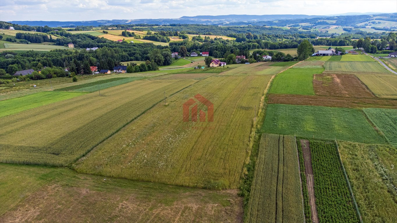 Działka budowlana na sprzedaż Broniszów  3 100m2 Foto 5