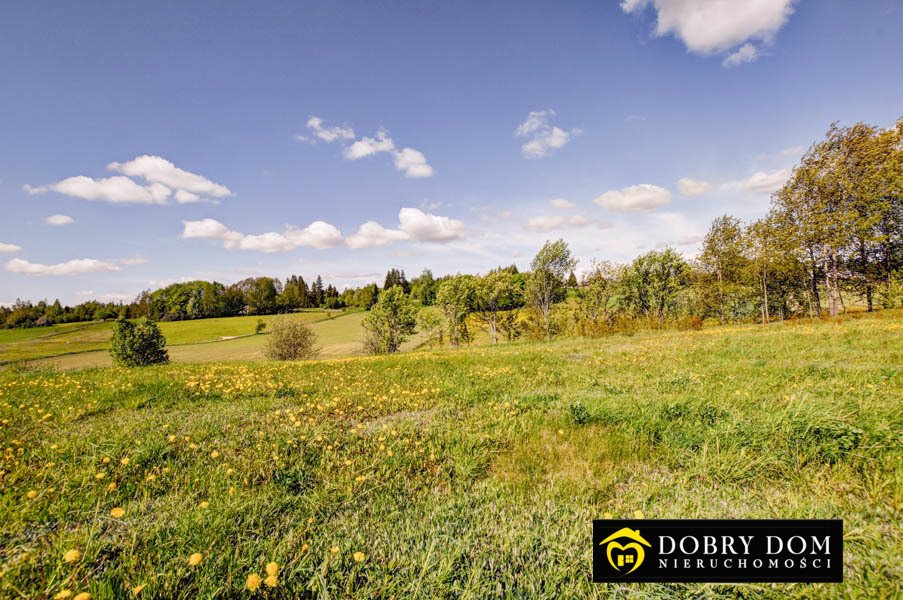 Działka rolna na sprzedaż Przełomka  2 200m2 Foto 14