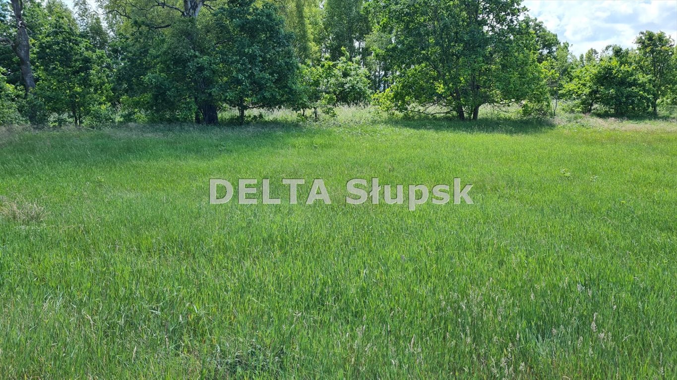 Działka budowlana na sprzedaż Smołdziński Las  12 129m2 Foto 1