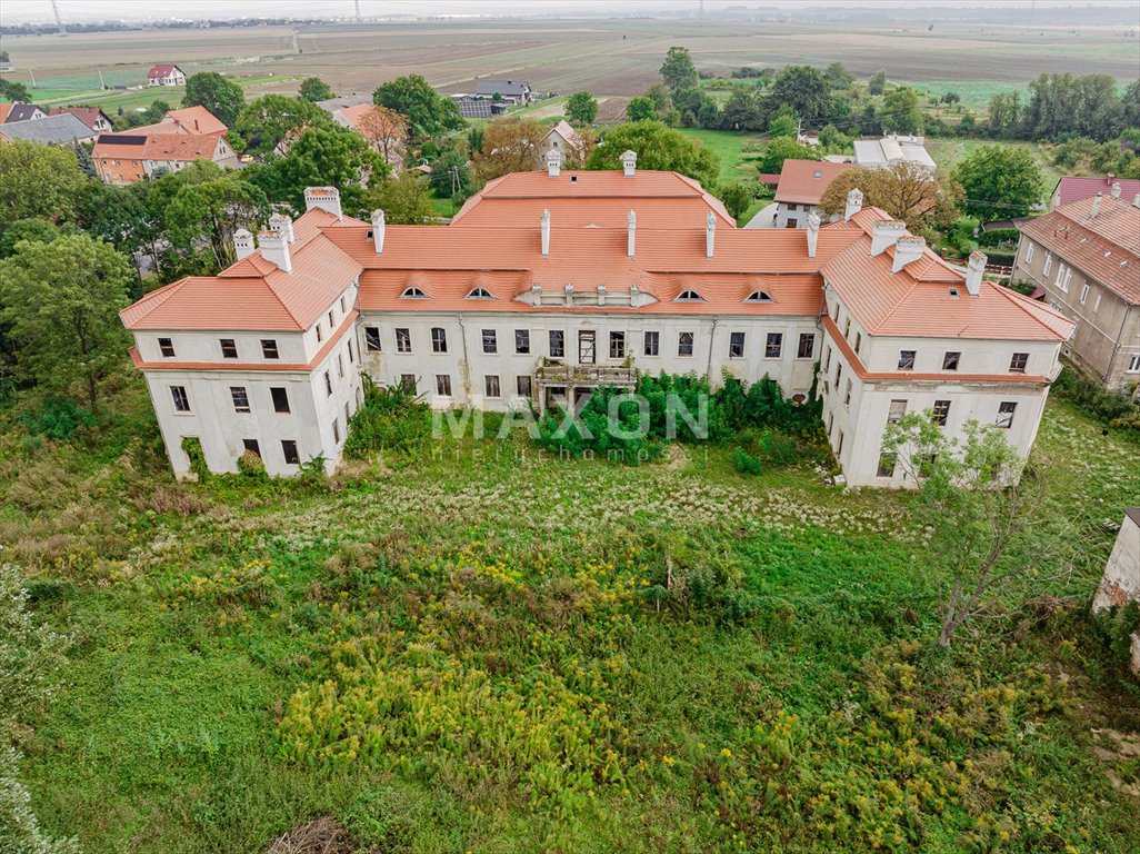 Dom na sprzedaż Małuszów  4 100m2 Foto 2