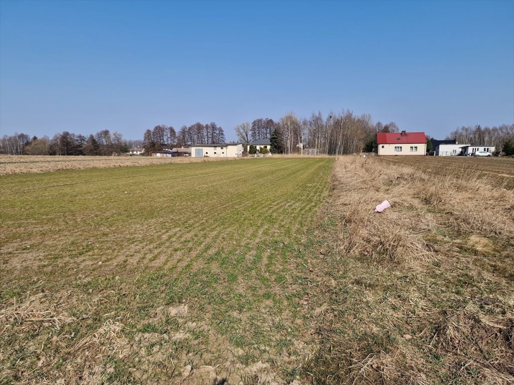 Działka 877 m² z planem zagospodarowania i dostępem do mediów Kalisz, Piwonice-Zachód, Latyńska  877m2 Foto 1