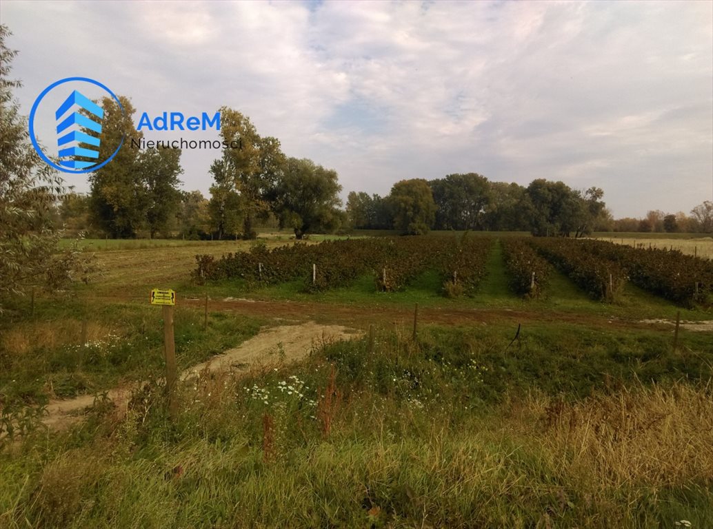 Działka rolna na sprzedaż Podłęcze  32 100m2 Foto 4