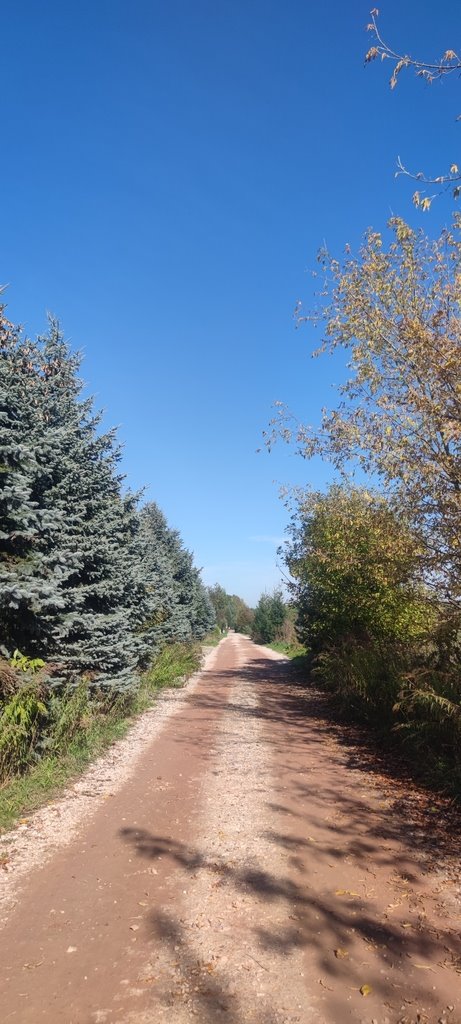 Działka budowlana na sprzedaż Marianów, aleja Kalinowa  3 000m2 Foto 3