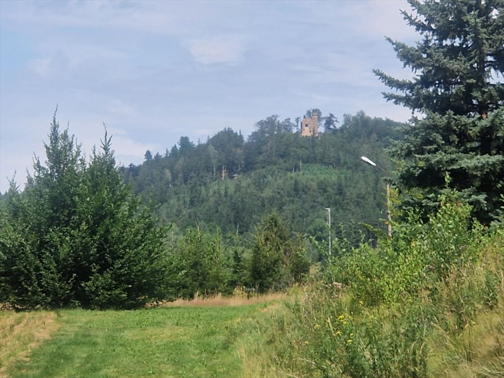 Działka przemysłowo-handlowa na sprzedaż Sosnówka  1 000m2 Foto 1