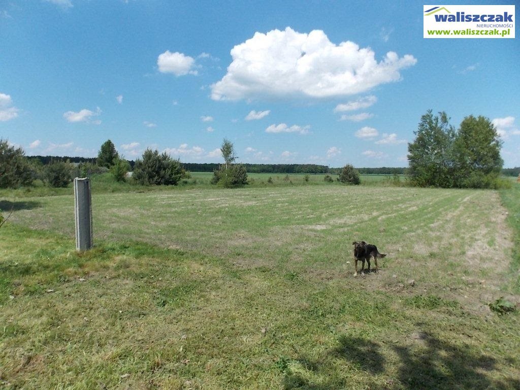 Działka budowlana na sprzedaż Koło  2 200m2 Foto 5