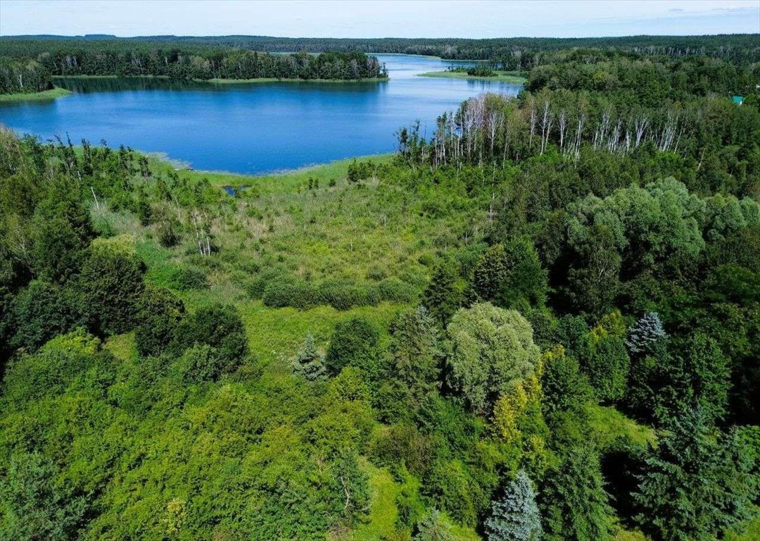 Działka rolna na sprzedaż Grom  3 006m2 Foto 4