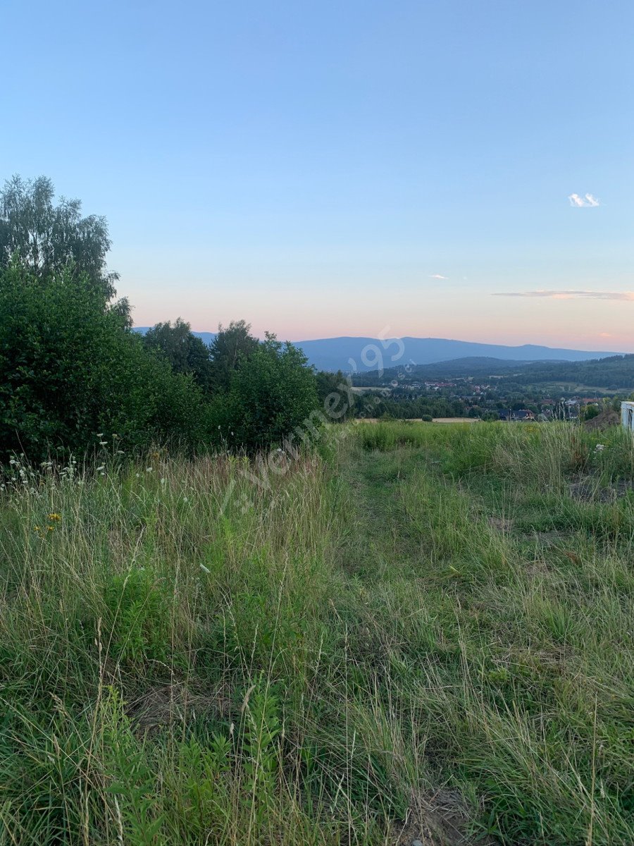 Działka budowlana na sprzedaż Jelenia Góra  1 335m2 Foto 2