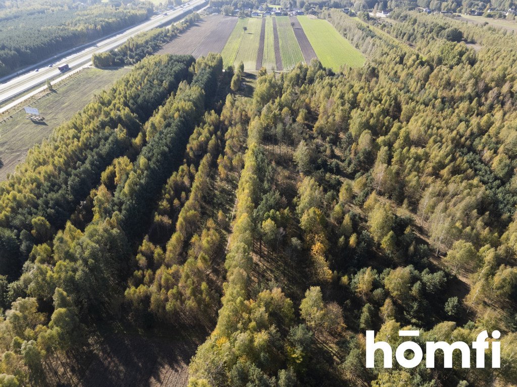 Działka inna na sprzedaż Kacprowice  4 100m2 Foto 7