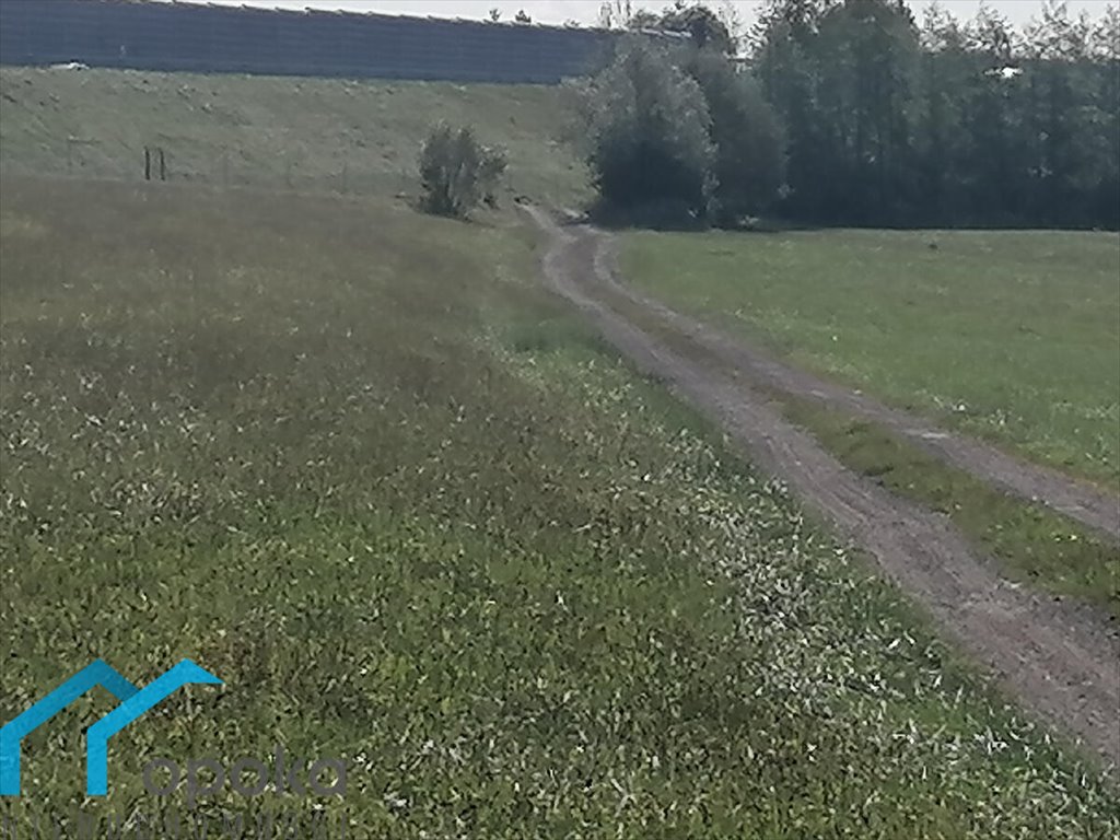 Działka rolna na sprzedaż Łączka, Wierzbowa  20 000m2 Foto 5