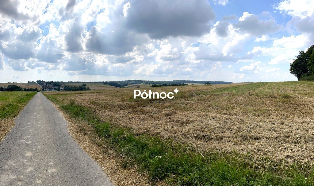 Działka 8 000 m² z możliwością zabudowy w Zadrożu polecam! Zadroże  7 700m2 Foto 1