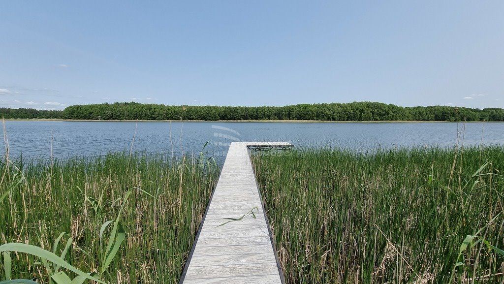 Działka rolna na sprzedaż Cisy  2 000m2 Foto 2