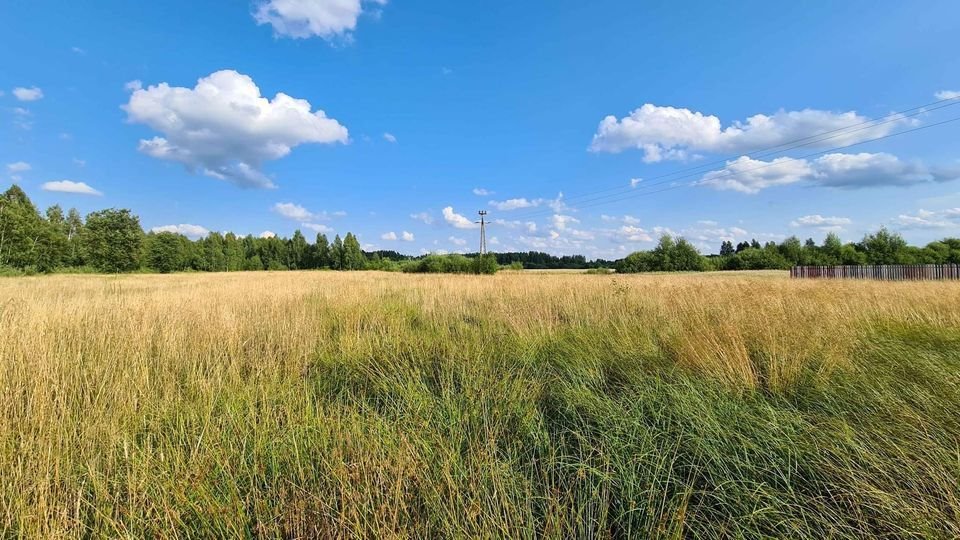 Działka budowlana na sprzedaż Nowosady, Dubińska Ferma  4 200m2 Foto 2