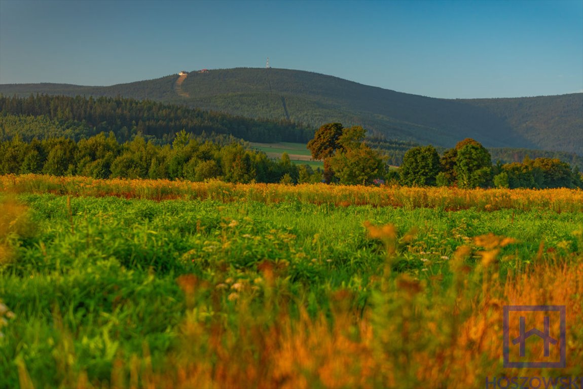 Działka budowlana na sprzedaż Świeradów-Zdrój, Jarzębinowa  1 500m2 Foto 2