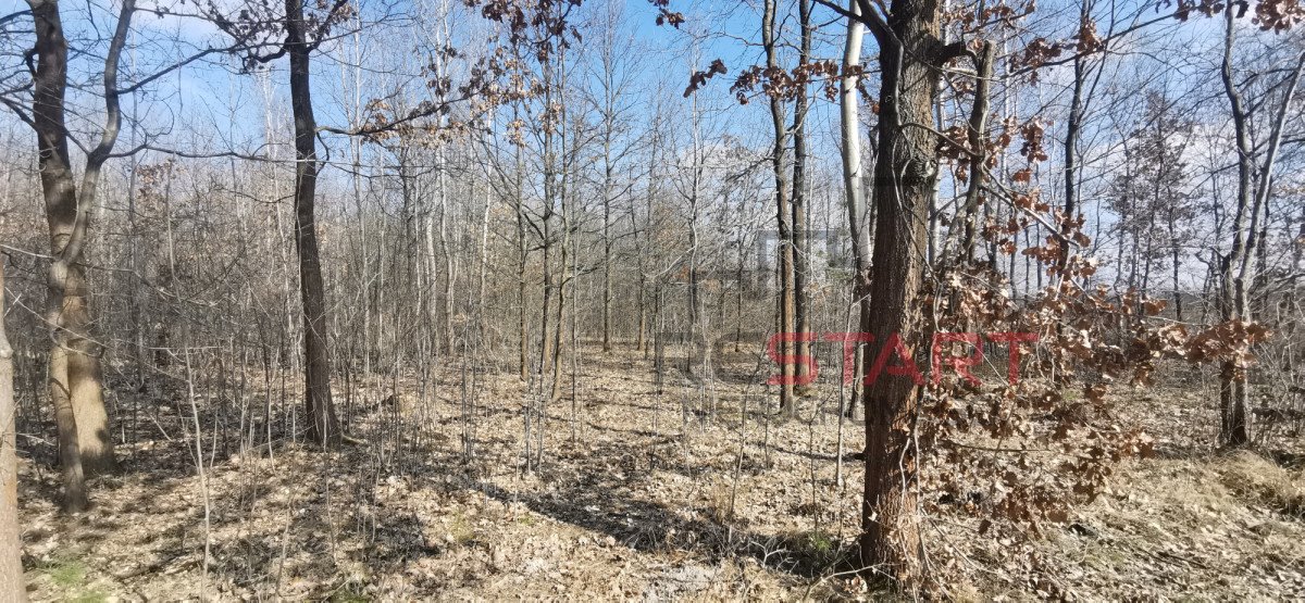 Działka budowlana na sprzedaż Janinów  5 653m2 Foto 1