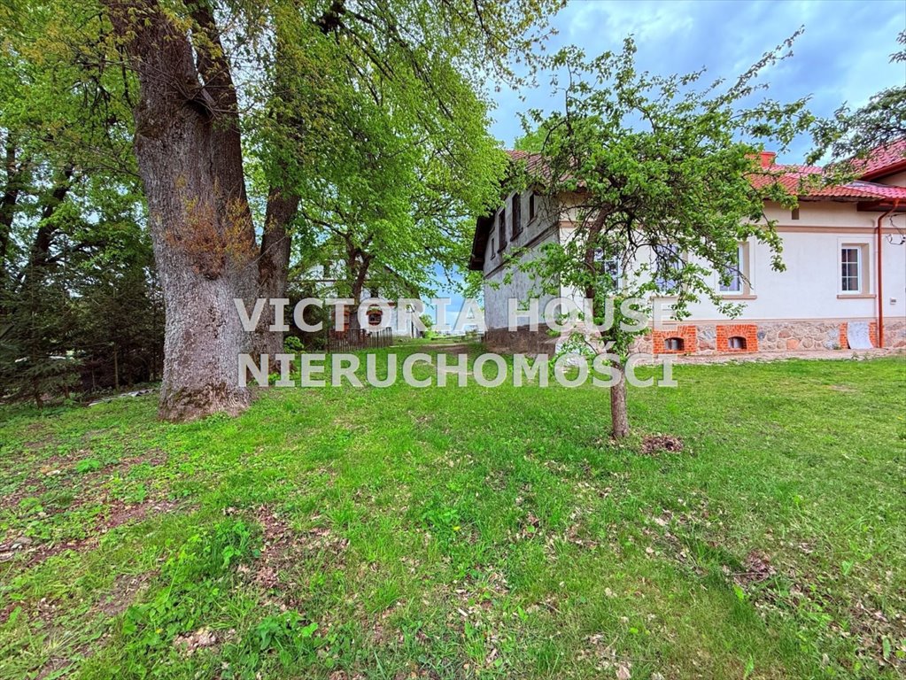 Dom na sprzedaż Żabin  208m2 Foto 4