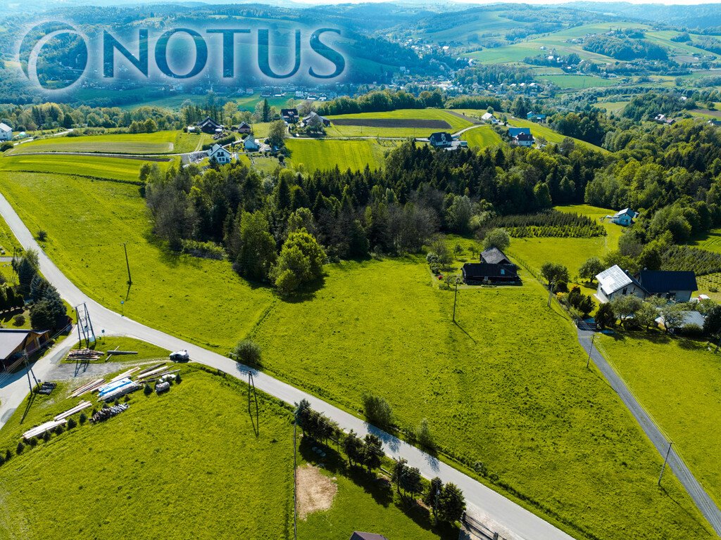 Do sprzedania działka 86 ar z warunkami zabudowy w Ciężkowicach Ciężkowice  8 600m2 Foto 1