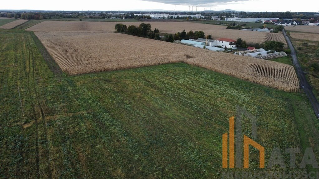 Działka komercyjna na sprzedaż Ścinawa Polska  4 300m2 Foto 6