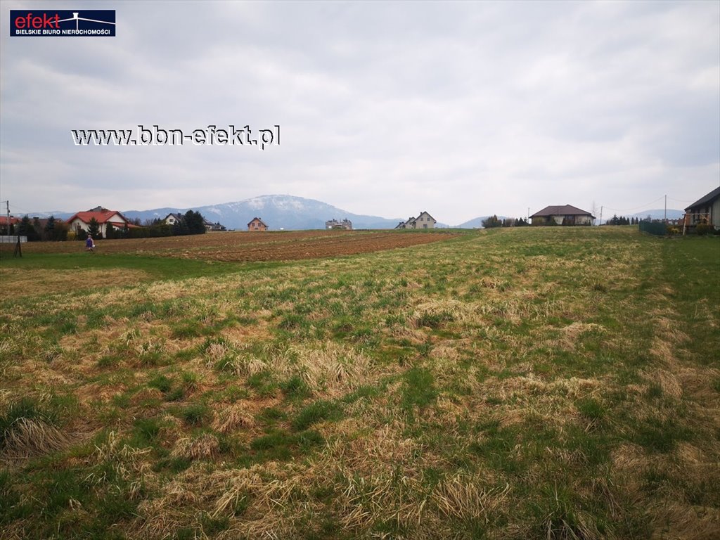 Działka budowlana na sprzedaż Pietrzykowice  1 300m2 Foto 4