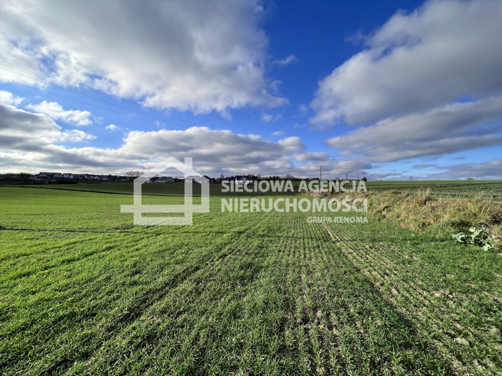 Działka budowlana na sprzedaż Dębogórze  1 000m2 Foto 7