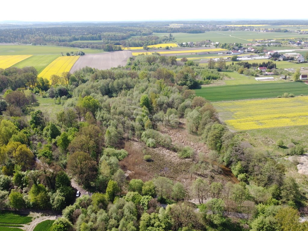 Działka inna na sprzedaż Kruszyn  26 000m2 Foto 4