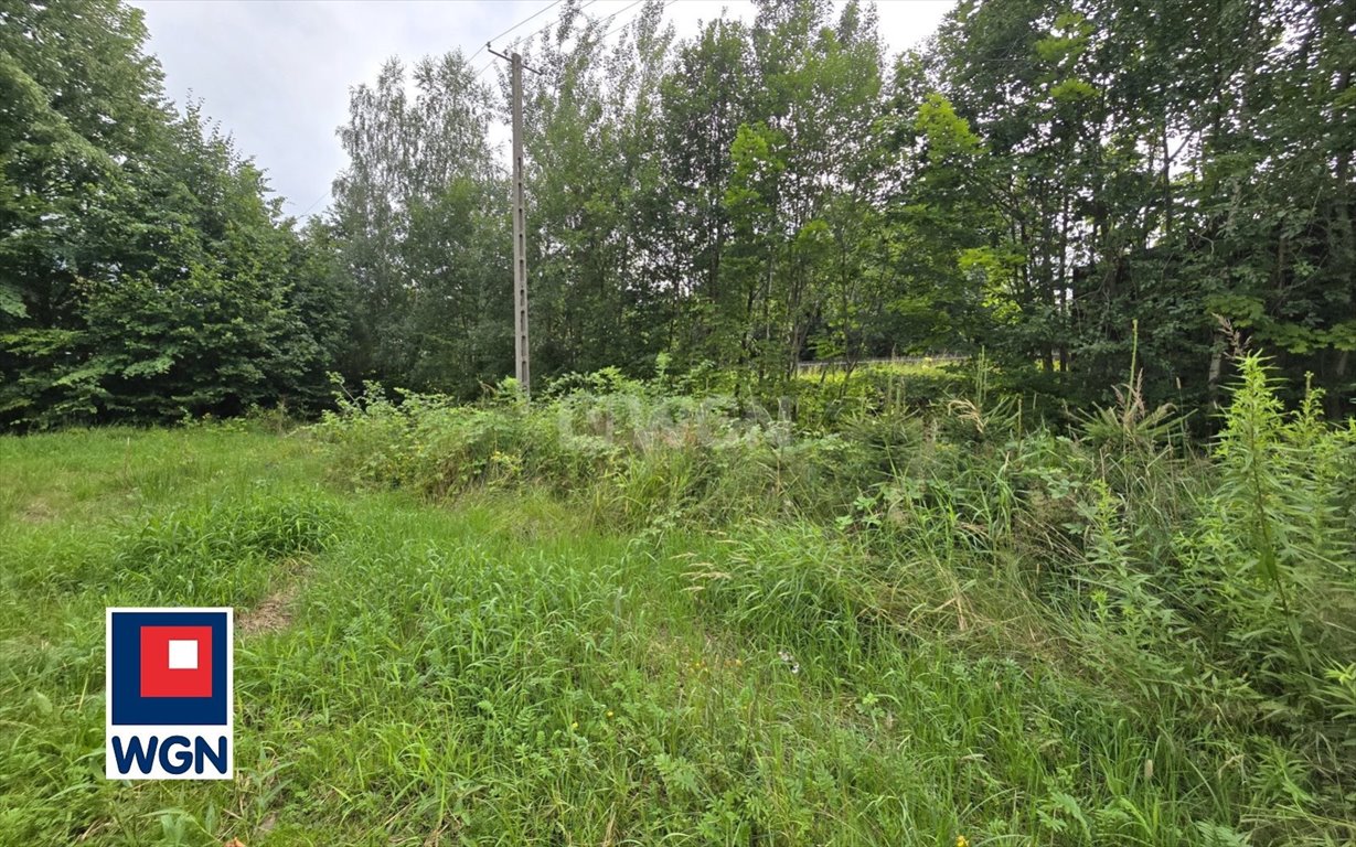 Działka budowlana na sprzedaż Ustroń, Lipowa  2 304m2 Foto 6