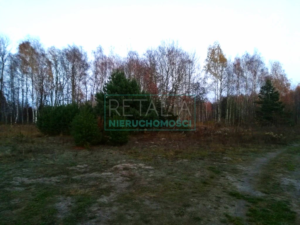 Działka budowlana 2357 m² w Szczęsnem, MPZP, las, rekreacja Szczęsne  2 350m2 Foto 1