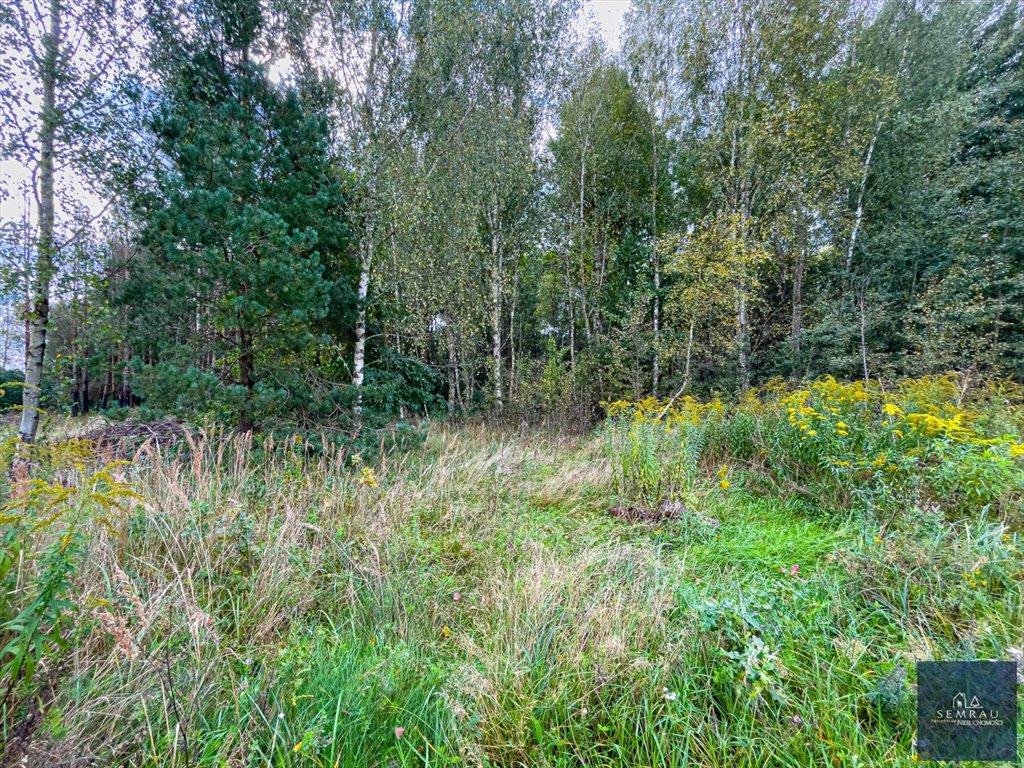 Sprzedam działkę 5700 m² z lasem i mediami w Białej Biała  5 700m2 Foto 1