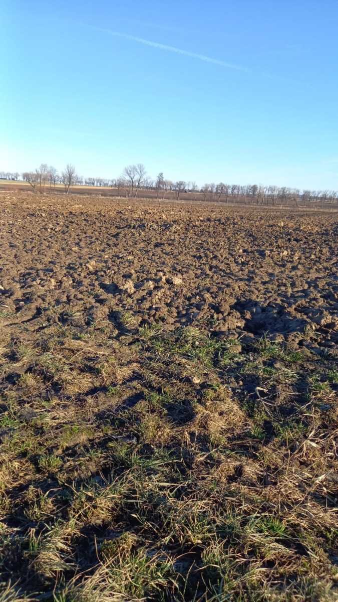 Działka inna na sprzedaż Świdnica, Burkatów  16 000m2 Foto 2