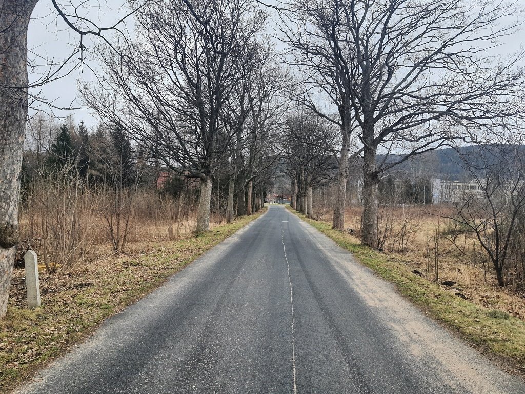 Działka komercyjna na sprzedaż Kowary, Kasztanowa  5 559m2 Foto 2