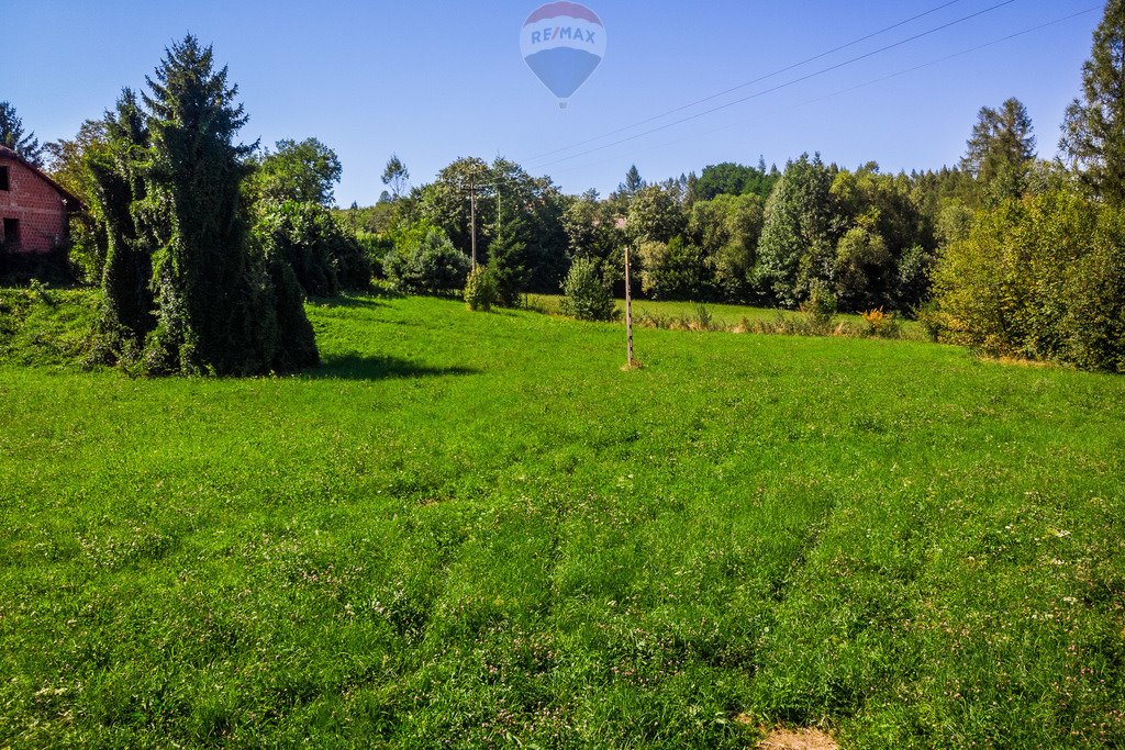 Działka budowlana na sprzedaż Pogorzany  8 711m2 Foto 6