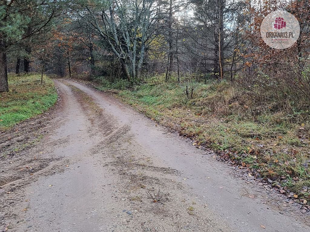 Działka rolna na sprzedaż Stękiny, Stękiny  18 707m2 Foto 9