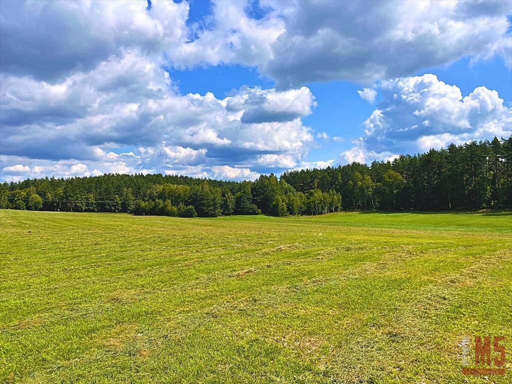 Działka inna na sprzedaż Olsztynek  2 625m2 Foto 6