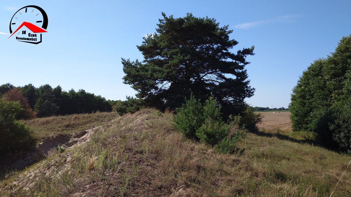 Działka gospodarstwo rolne na sprzedaż Góraj  4 760m2 Foto 5