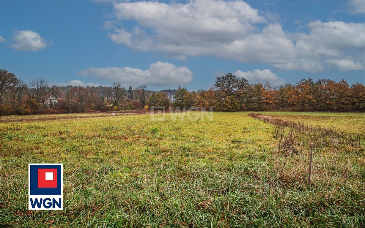 Działka budowlana na sprzedaż Dąbrowa Bolesławiecka, Dąbrowa Bolesławiecka  2 350m2 Foto 8