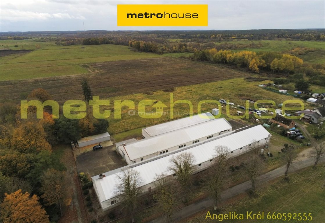 Zapraszam do obejrzenia magazynu 2110 m² z biurem i instalacją fotowoltaiczną Stare Ślepce  2 210m2 Foto 1