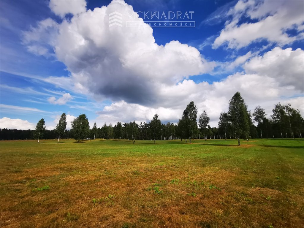 Działka budowlana na sprzedaż Miłomłyn  1 361m2 Foto 6