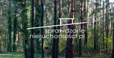 Działka budowlana na sprzedaż Kruszew  15 000m2 Foto 2