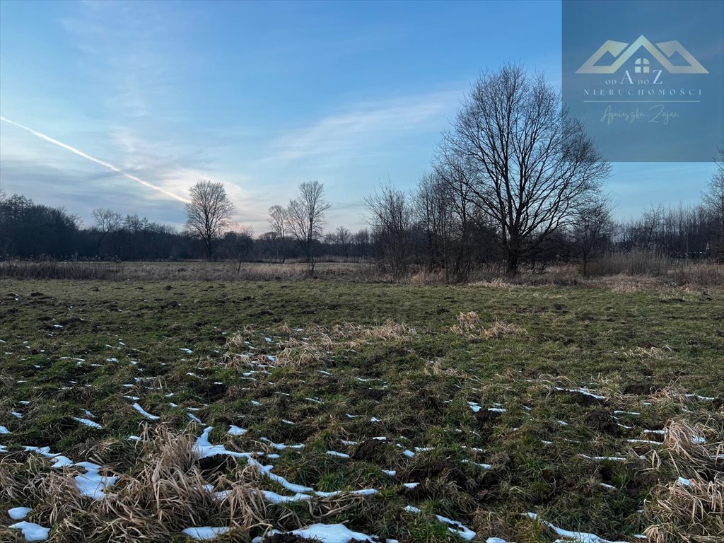 Działka rolna na sprzedaż Perła  2 600m2 Foto 6